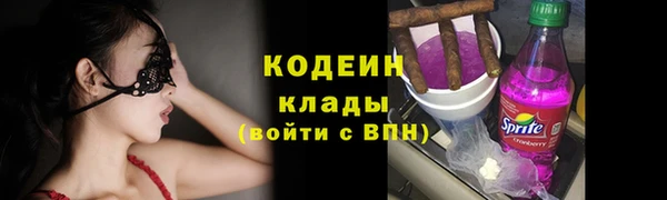 дмт Горняк