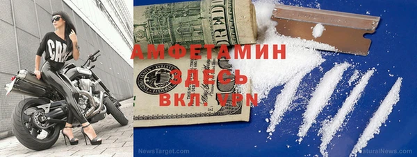 mdpv Вяземский