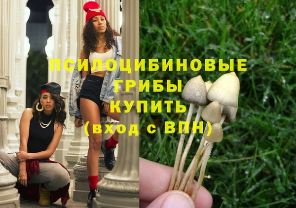мдпв Горно-Алтайск