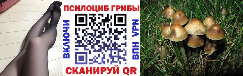 Купить где  Калязин  Псилоцибиновые грибы мицелий 
