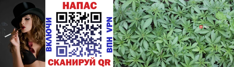 Бошки марихуана White Widow  Купить закладки  Калязин 